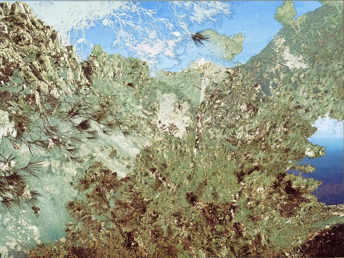 8D484117-CA7A-4C9C-AC9E-875557F75010