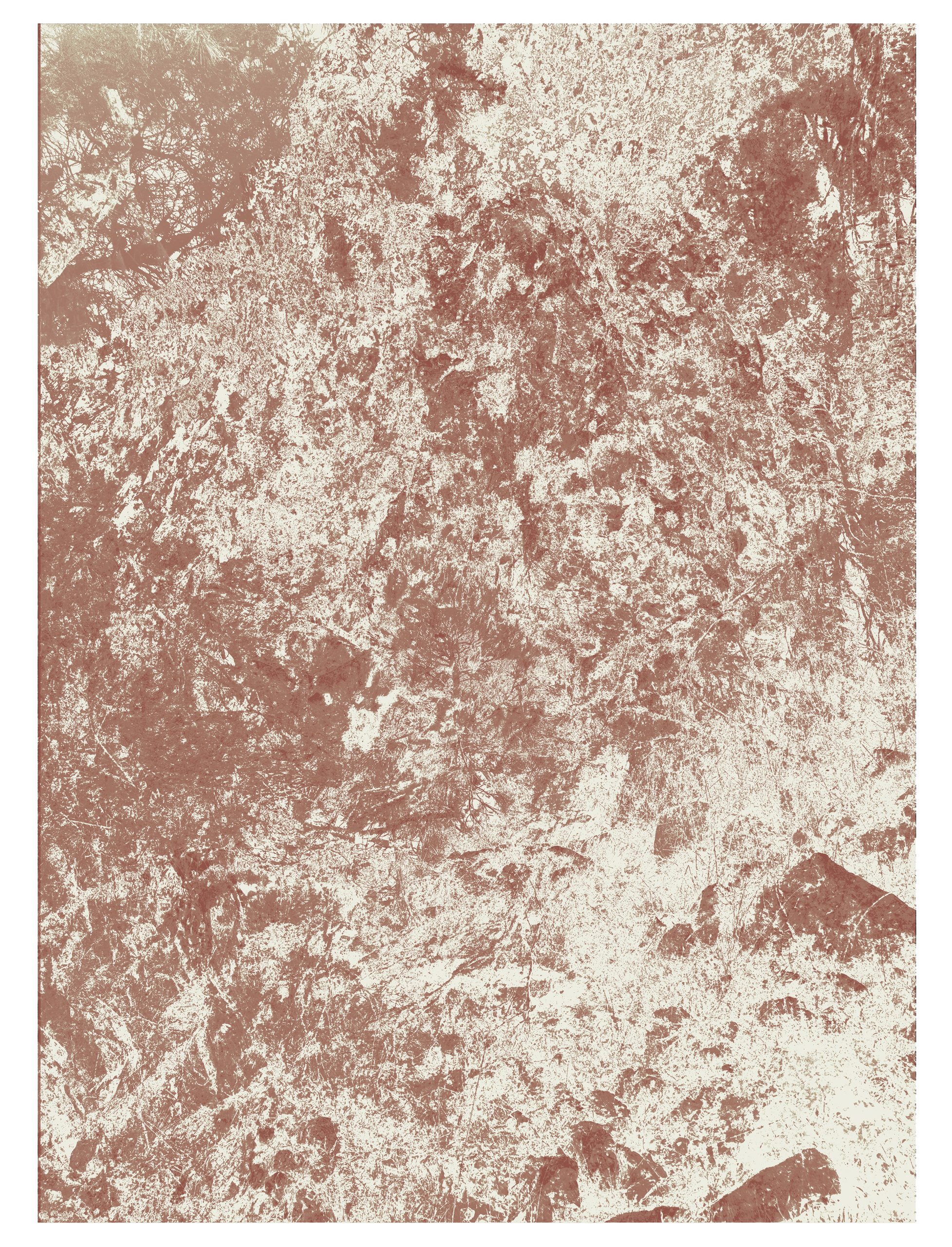 ATLAS_(1079764) - 90 x 120 (pallete wood and brick dust one)