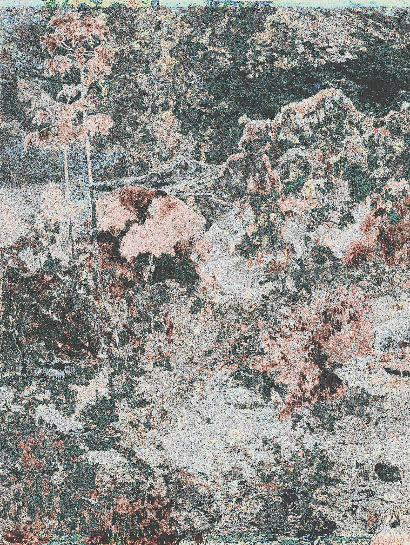 Ojczyzna11-25_I(BORDERLESS)